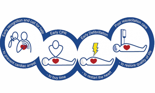 Chain-of-Survival-CPR-CFR-school